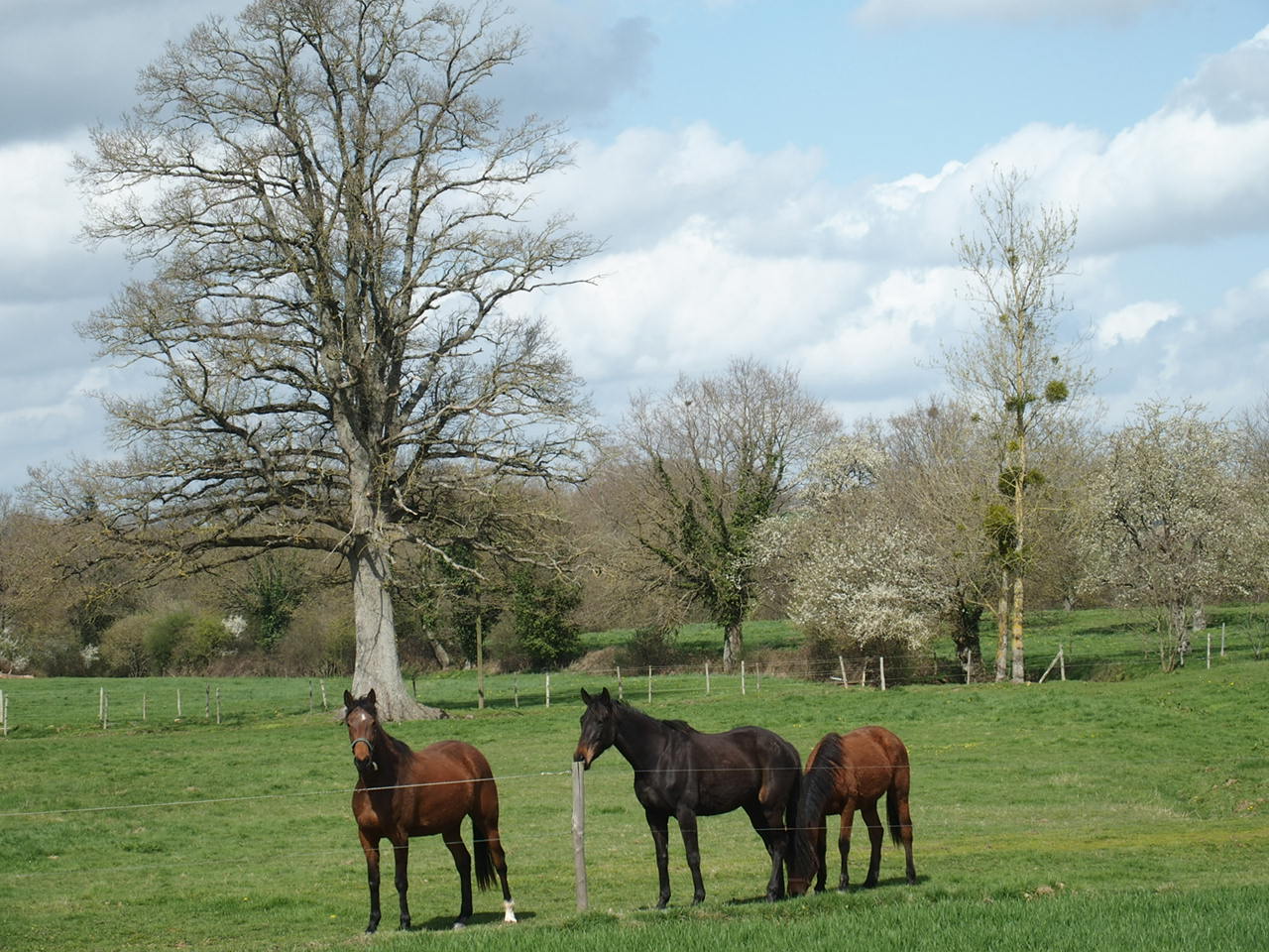 Aucune photo pour cette étape.